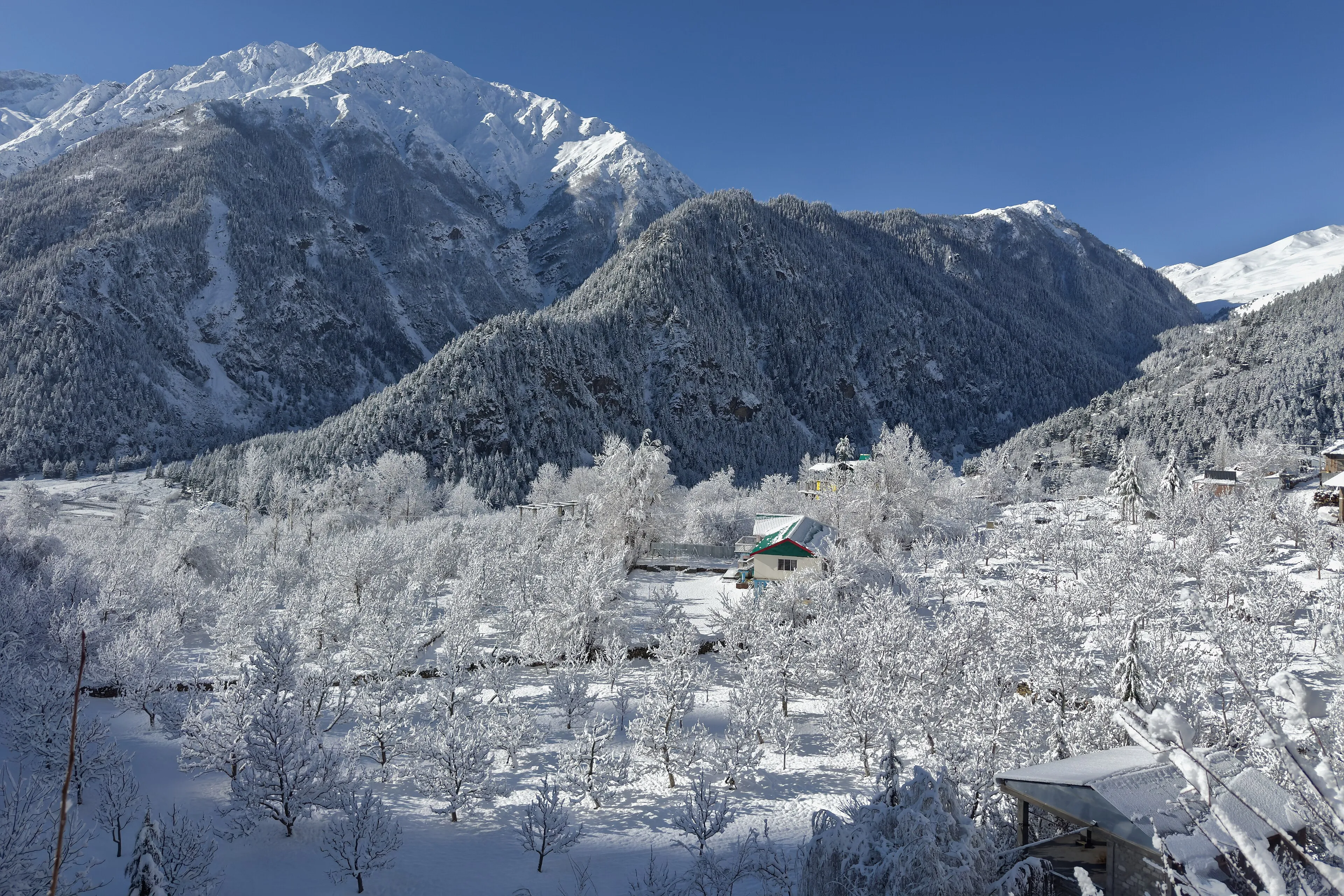 Himachal Pradesh trekking group on a Himalayan trail with snow peaks behind