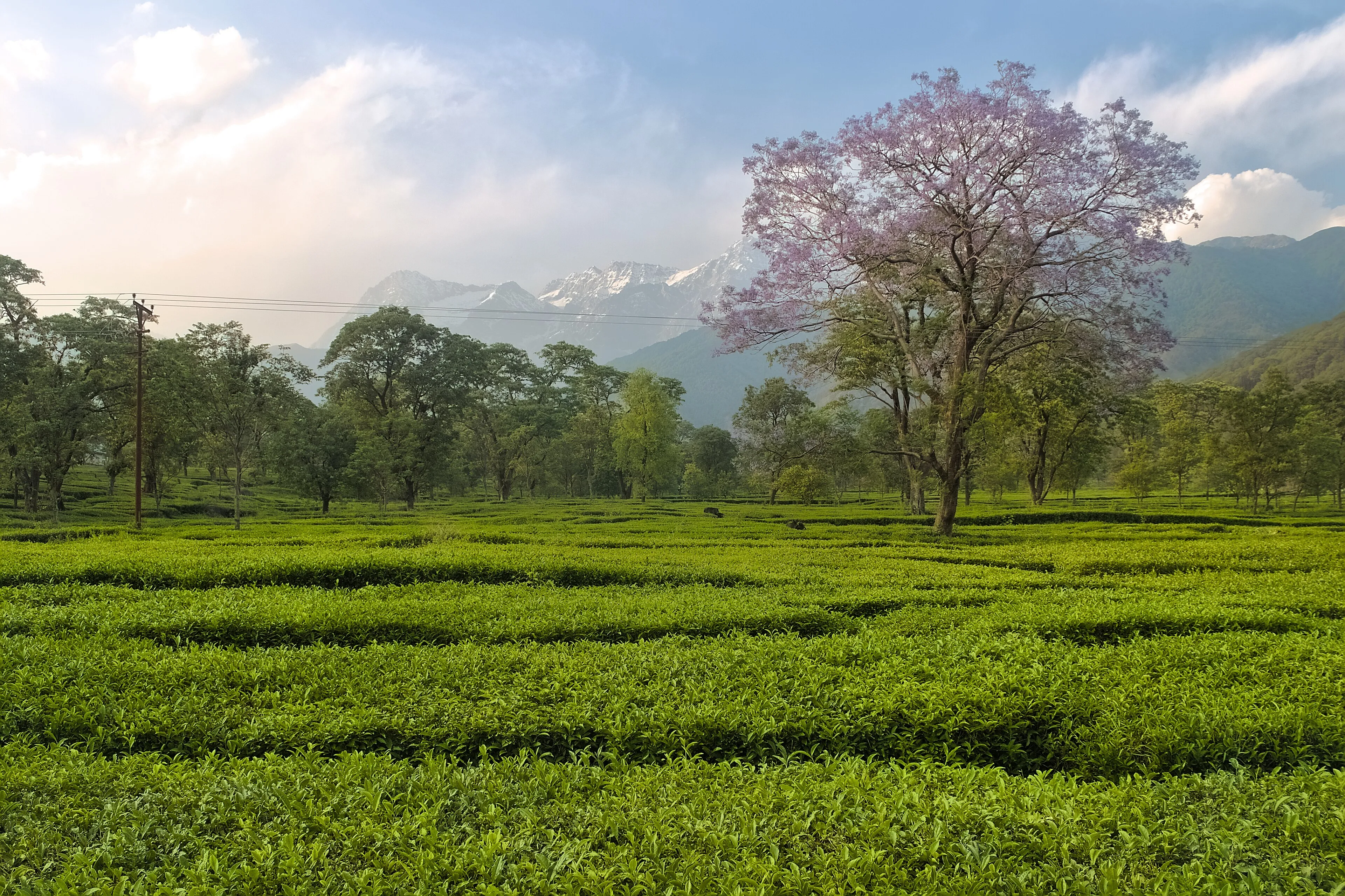 Himalayan valley at golden hour