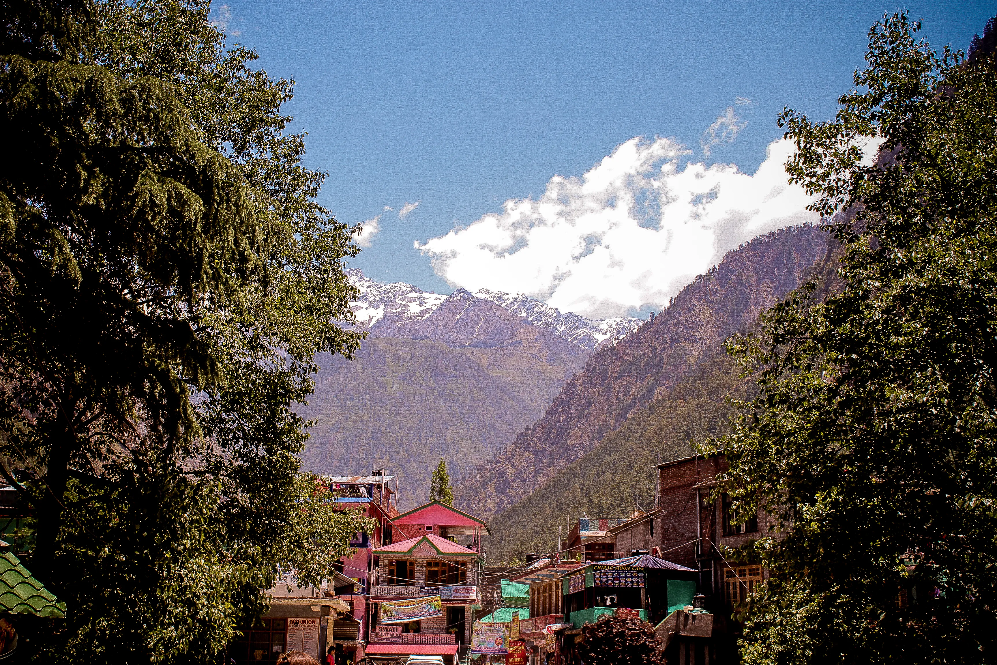 Riverside camp with a bonfire in a Himachal pine valley