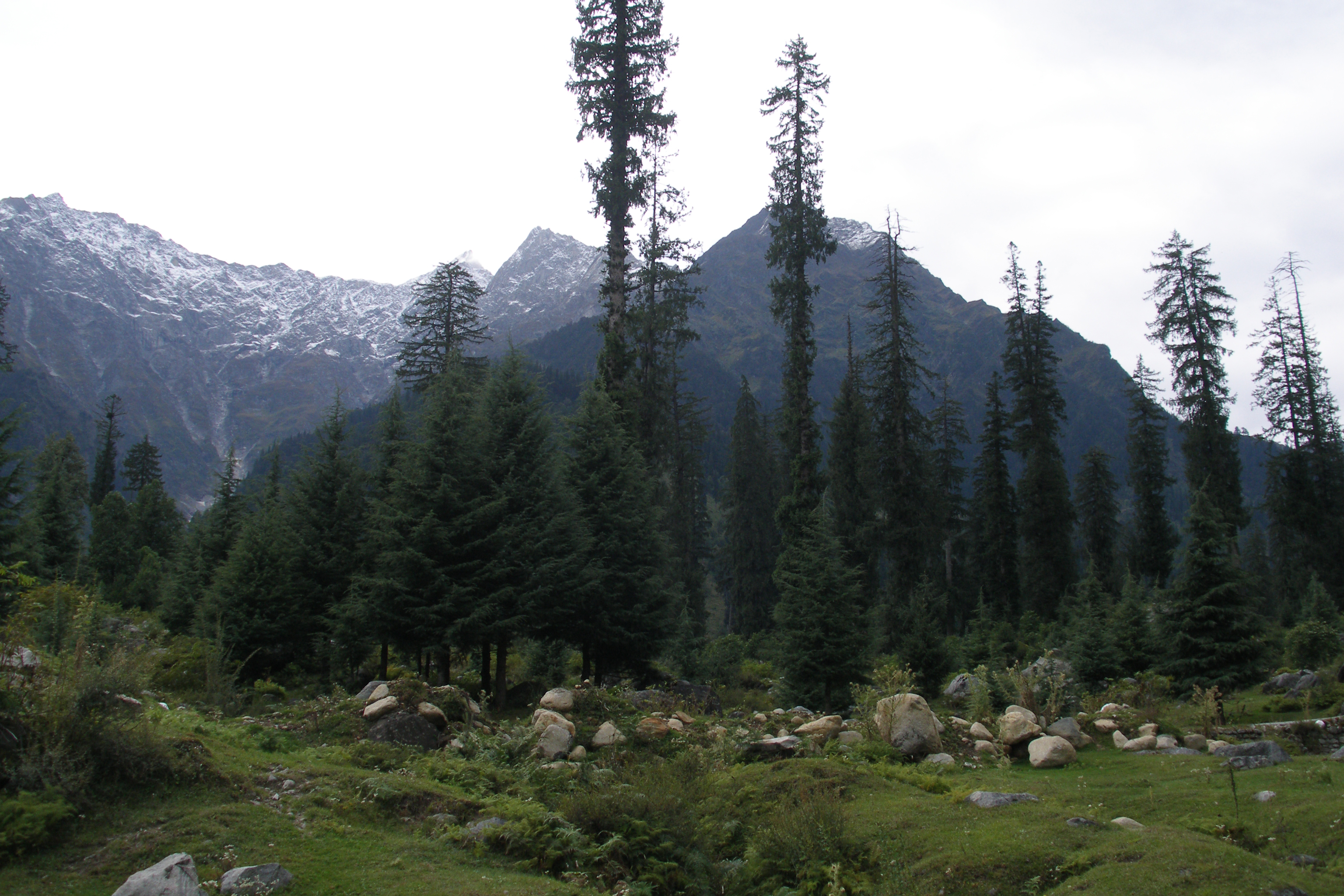 Kedarkantha winter summit, Uttarakhand